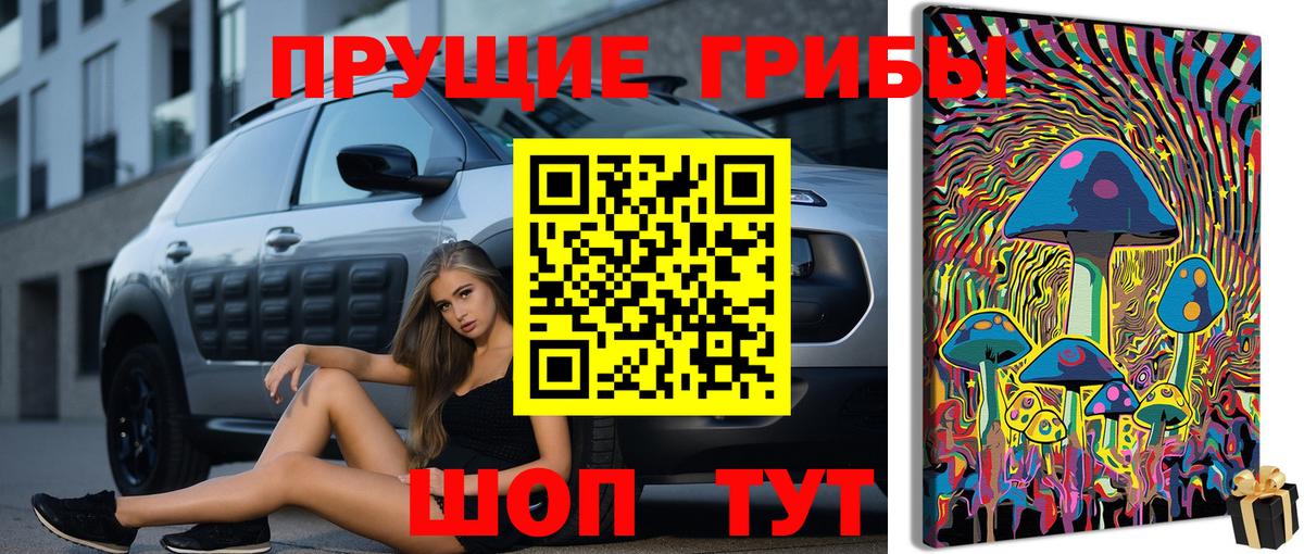 Галлюциногенные грибы GOLDEN TEACHER  цена   Мариинск  Вход с VPN 